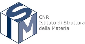 ISM Logo_